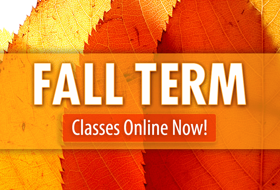 Fall Term Art Classes at the Ann Arbor Art Center Classes Online Now